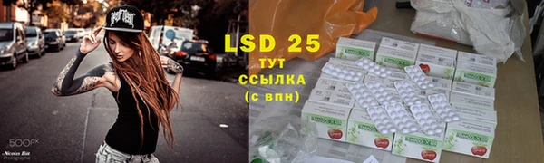 крисы Покров