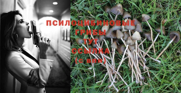 мескалин Бутурлиновка