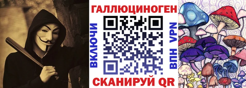mega зеркало  Власиха  Псилоцибиновые грибы Psilocybine cubensis 